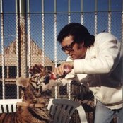 Fancy - List pictures