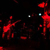 Usnea - List pictures