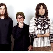 An Albatross - List pictures