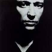 Recoil - List pictures