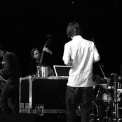 Polar Bear - List pictures