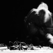 Koen Holtkamp - List pictures