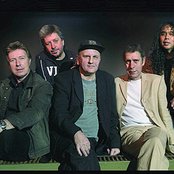 Cuby & The Blizzards - List pictures