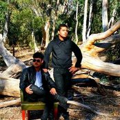 Gypsy And The Cat - List pictures