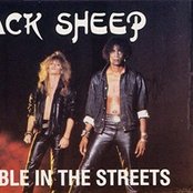 Black Sheep - List pictures