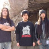 Anatomia - List pictures