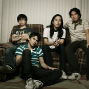 Spongecola - List pictures