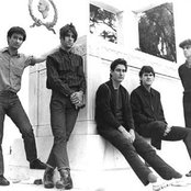 Wall Of Voodoo - List pictures