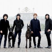 The Bawdies - List pictures