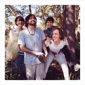 Animal Collective - List pictures