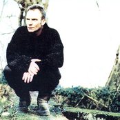 Sting - List pictures