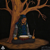 Tree - List pictures