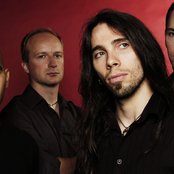 Old Dead Tree - List pictures