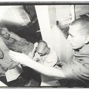 Shelter - List pictures