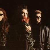 Dead Or Alive - List pictures