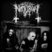 Nocturnal - List pictures