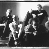 Lifer - List pictures