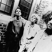 Clan Of Xymox - List pictures