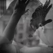 Wife - List pictures