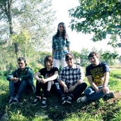 Falling Here - List pictures