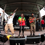 Easy Star All-stars - List pictures