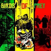 Birds Of Prey - List pictures