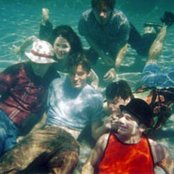 Edie Brickell & The New Bohemians - List pictures