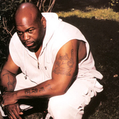 Bumpy Knuckles - List pictures