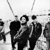 Texas - List pictures