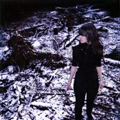 Callmekat - List pictures