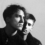 The Beloved - List pictures