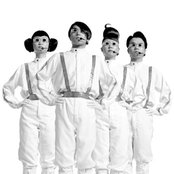 Polysics - List pictures