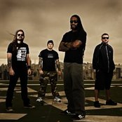 Sepultura - List pictures