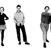 Stereolab - List pictures