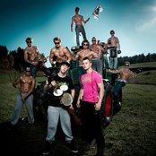 Trackshittaz - List pictures