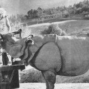 Jan & Dean - List pictures