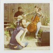 Brown Bird - List pictures