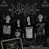 Nadi - List pictures