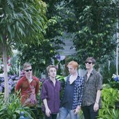 Hibou - List pictures