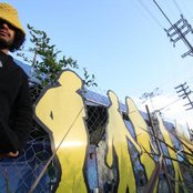 Nobody - List pictures