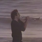 Alpert Herb - List pictures