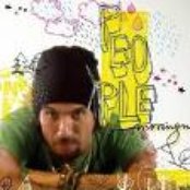 Macaco - List pictures