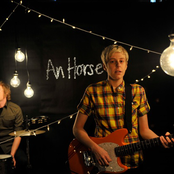An Horse - List pictures