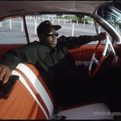 King T - List pictures