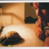 Darren Hanlon - List pictures