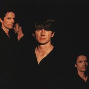 Crowded House - List pictures