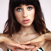 Foxes - List pictures