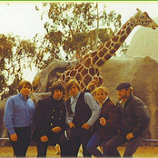 Beach Boys - List pictures