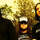 The Autumn Offering - List pictures