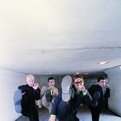 Plankeye - List pictures